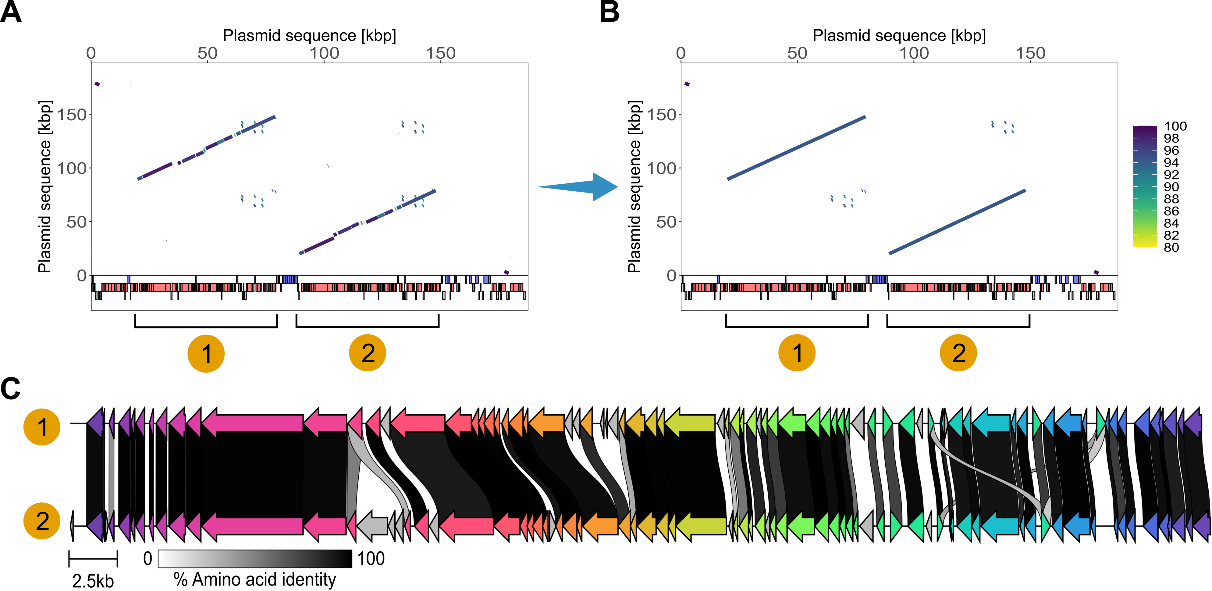 SegMantX duplication detection